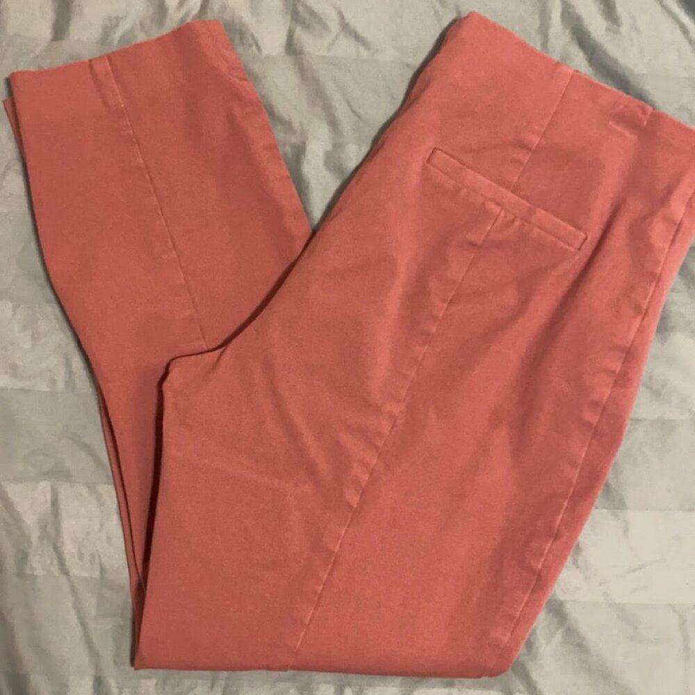 A New Day from Target / Pink Pixie Pants / Sz 14